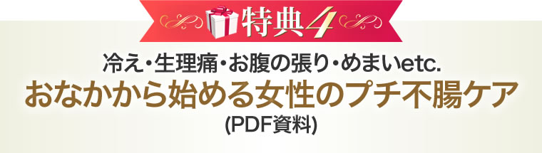 冷え・生理痛・お腹の張り・めまいetc... おなかから始める女性のプチ不腸ケア(PDF資料)